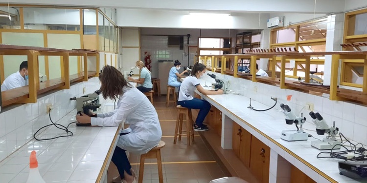 MÁS ALUMNOS. Aumentó la demanda en carreras del área salud.