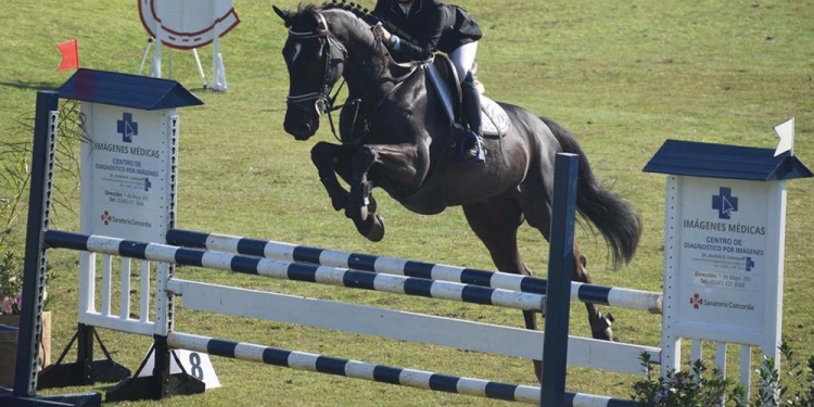 Manuela Galmarini - equitación