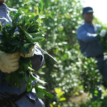 Resolución 170 del INYM