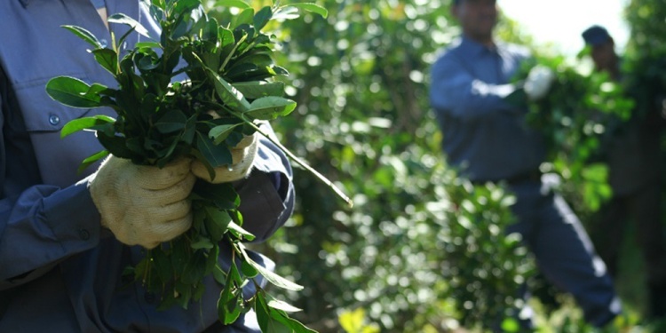 Resolución 170 del INYM