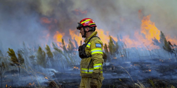 DELITO. Los incendios forestales se replican a lo largo y ancho del país debido a la sequía, pero principalmente por la mano del hombre.