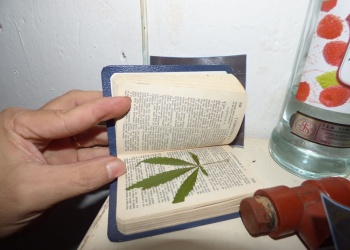 Operativo de drogas Oberá