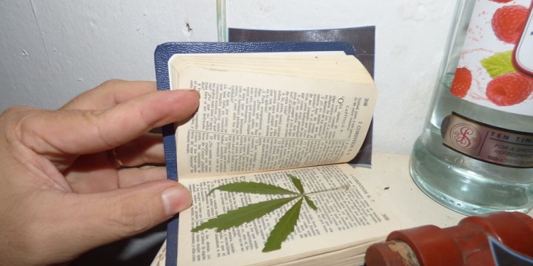 Operativo de drogas Oberá