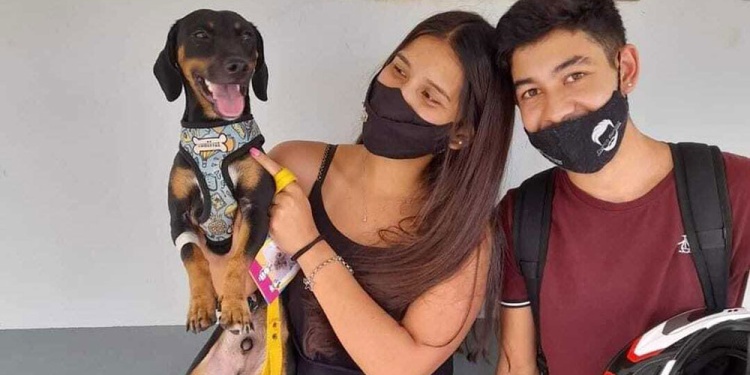 CONCIENTIZACIÓN. “El animal necesita vacunas, antiparasitarios y una buena alimentación”, destacó Rosana Gasek.