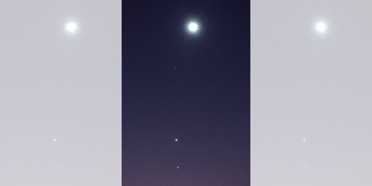 Foto: Gentileza Walter Faviere