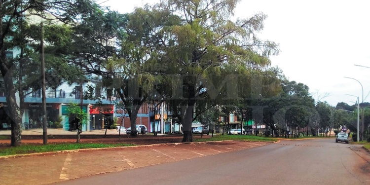 EN CALLES Y AVENIDAS. En el proyecto se especifica las zonas donde podrá implementarse este proyecto.