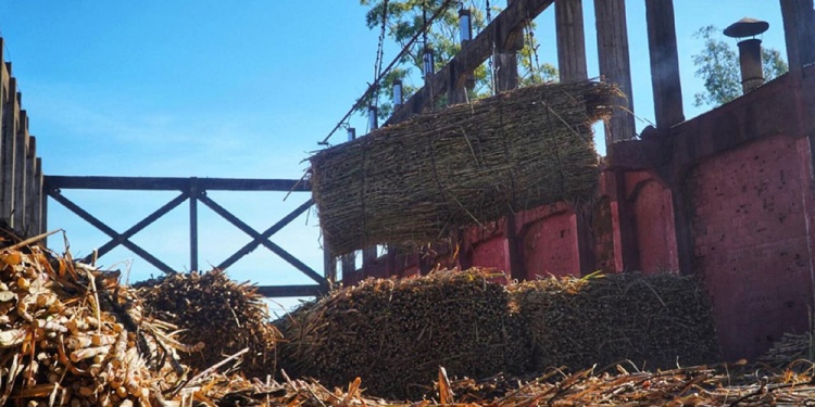 PROTECCIÓN. El Gobierno se ahorrará cerca de 140 millones de pesos, al no operar con el Ingenio Azucarero pero ayudará a más de 230 productores.