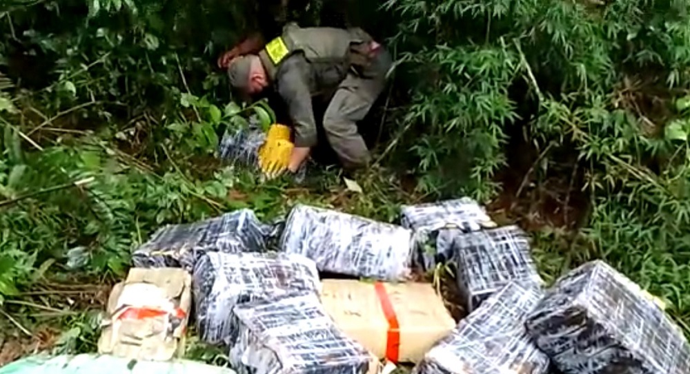 Hallan más de tres toneladas de marihuana en el monte misionero ...