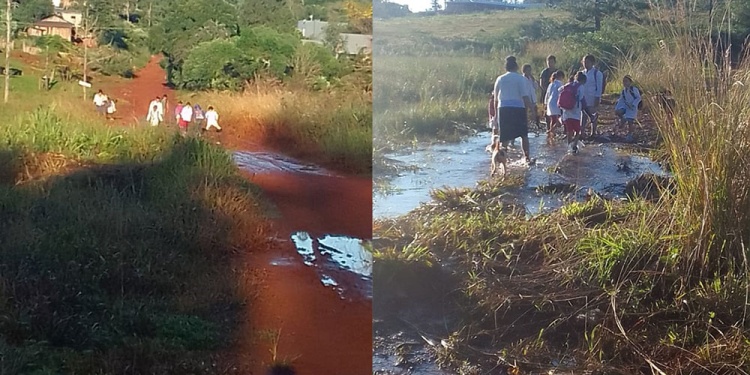 UN CAMINO COMPLICADO. Los chicos no tiene otra opción más que caminar hasta la escuela más cercana.