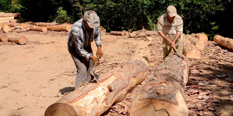 EMPLEO TEMPORARIO. La corresponsabilidad permitirá incorporar empleados sin temor a la indemnización.