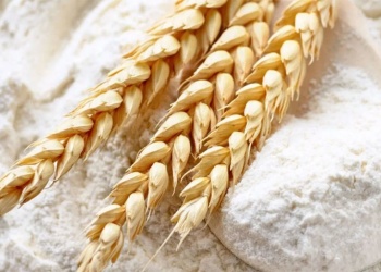 “El precio del pan dulce ya aumentó un 100 por ciento de un año a otro”