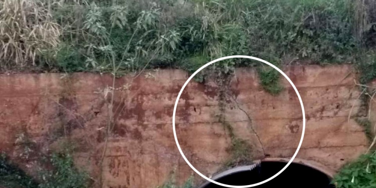 “en la zona, el puente es como un entubado que se construyó hace muchos años. Con las lluvias se ve que se fue lavando y se asentó un poquito. Además, hay unas rajaduras que se percibe en el hormigón”.