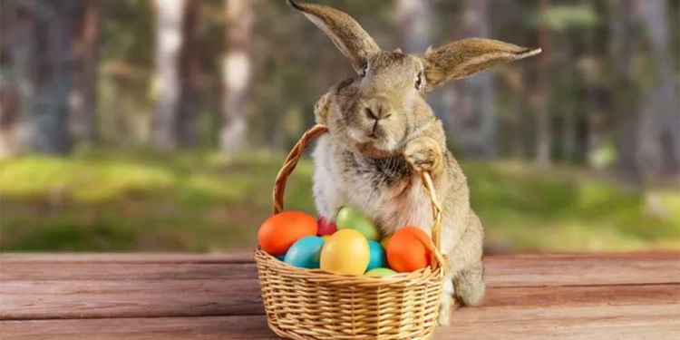 Los huevos representan la fertilidad, la perfección, la vida y la resurrección (Imagen Ilustrativa)