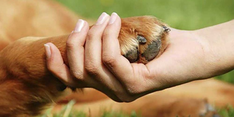 (Imagen: Pilaradiario)