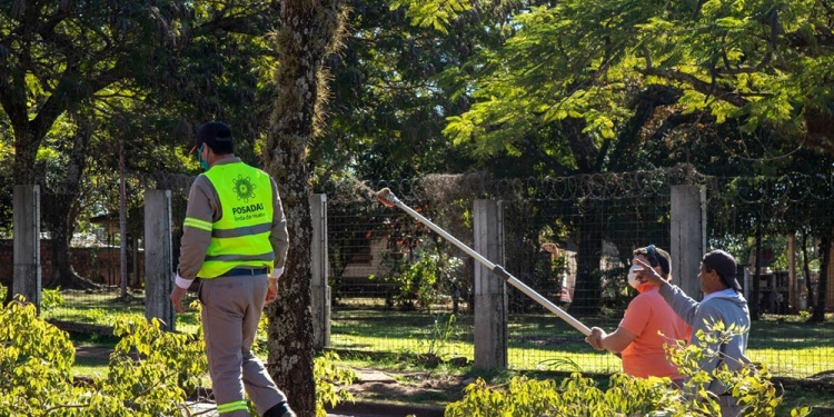 POSADAS SUSTENTABLE. La Municipalidad convocó a los podadores urbanos para brindar la capacitación.