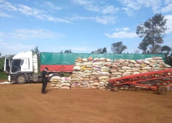Contrabando de soja de Misiones a Brasil llegó a 90 mil toneladas
