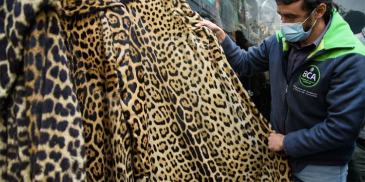 (Ministerio de Ambiente y Desarrollo Sostenible de la Nación)