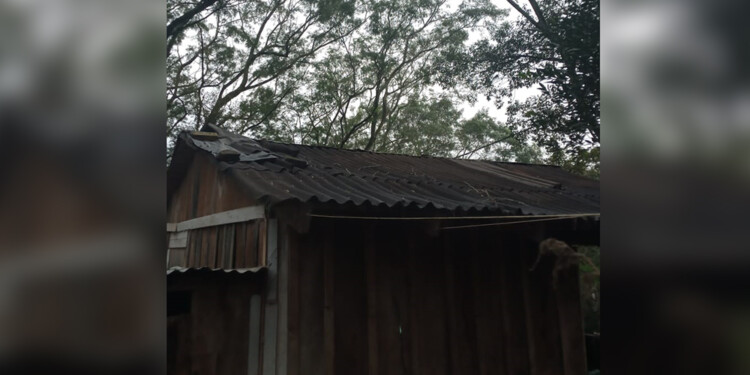 MEJORAR EL TECHO. La precarias chapas de cartón hacen que el agua se