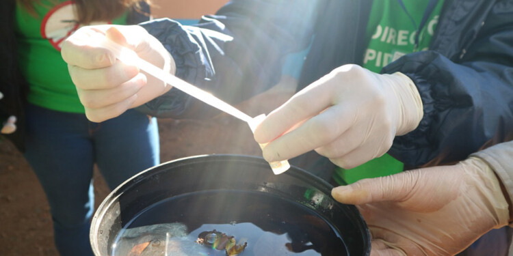 Imagen ilustrativa (Archivo)