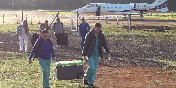 PROGRESO. Misiones avanzó en estos años en trasplantes y ablaciones.