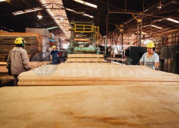 Por las trabas para girar dólares, se demoran inversiones y nuevos empleos en Misiones