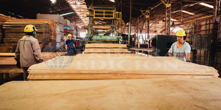 RECURSO. “El Gobierno debe entender que si tecnificamos la foresto industria vamos a lograr exportar más”, indicaron.