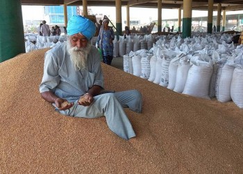 India prohíbe la exportación de trigo por el alza global de precios