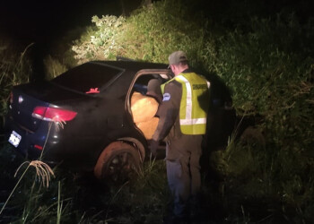 Incautan más de 180 kilos de marihuana sobre la ruta 12