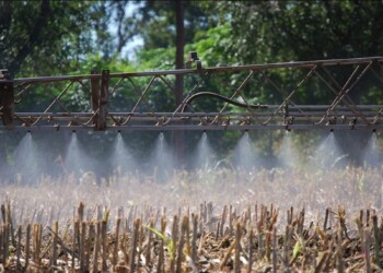 Avanza el ciclo de capacitación en fitosanitarios a nivel nacional