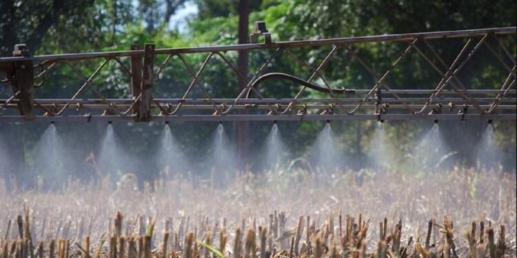 TRABAJO. El objetivo es potenciar y fortalecer las capacidades de más de 26.000 profesionales en todo el país.