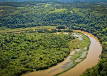 Denuncian que se profundizó el daño ambiental en el arroyo Garuhapé
