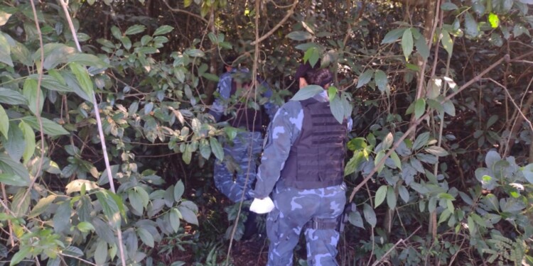 Continúan los operativos para hallar a Josías Galeano