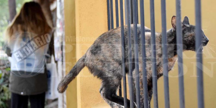 Galería: así se vivió el Censo 2022 en Posadas