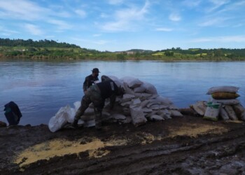 Cayó otra importante carga de maíz y soja