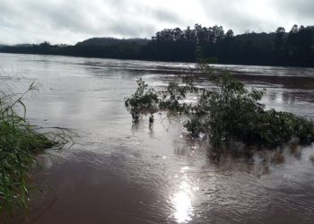 Evacuaron a familias por la crecida del río Uruguay en El Soberbio
