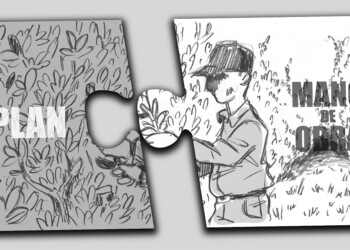 Planes sociales y mano de obra para el agro: faltan respuestas para Misiones