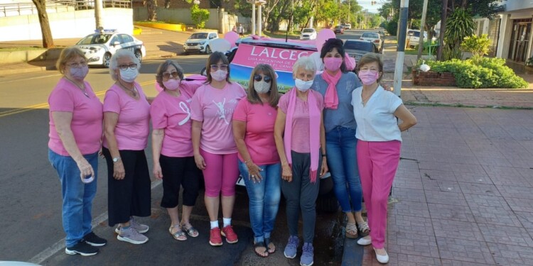 VOLUNTARIAS. Parte del equipo de LALCEC filial Misiones