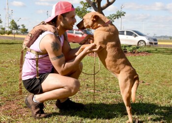 “Quienes abandonan a los perros, definitivamente, no tienen corazón”