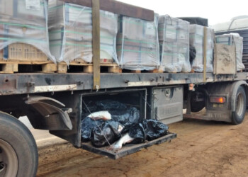 Secuestran en Ituzaingó pescados ocultos en un camión sin cadena de frío