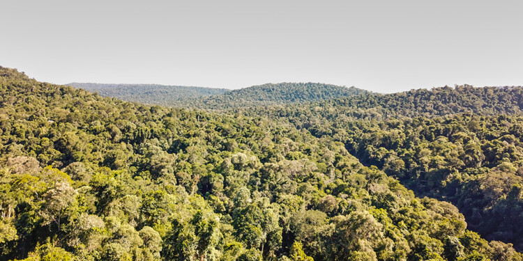 Gentileza Emiliano Salvador FVSA