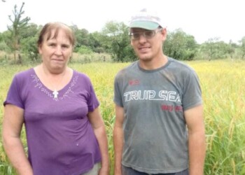 Siembran arroz de secano y sueñan con abrirse un mercado en Posadas
