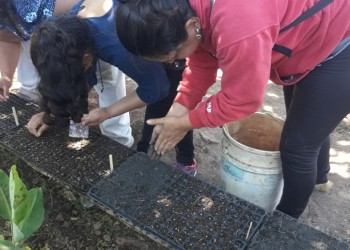 Promueven las buenas prácticas agrícolas en pos del desarrollo rural