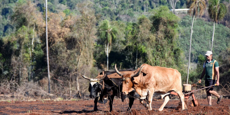 GIRO INESPERADO. La confirmación de la salida de Oriozabala en el cargo deja más dudas que certezas en el sector.