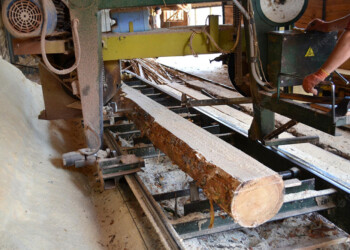 Aserraderos y otras industrias de la ruta 14 expectantes por las obras de energía