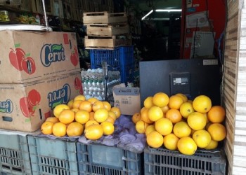 Precios de referencia para verduras y frutas: en Misiones valen 50% más