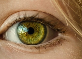 Al observar algo que no deseas, lo creas