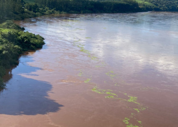 Crecida del río Uruguay: se estabilizó en El Soberbio y alerta en San Javier