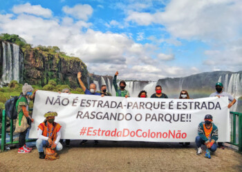 Alerta en Brasil por pedido para abrir un camino dentro del Parque Nacional Iguazú