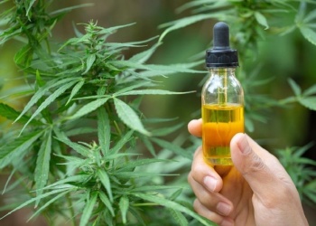 Cannabis: entre una penalización y la necesidad de pacientes con patologías