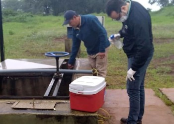 Intensificaron los análisis en todas las áreas de CELO